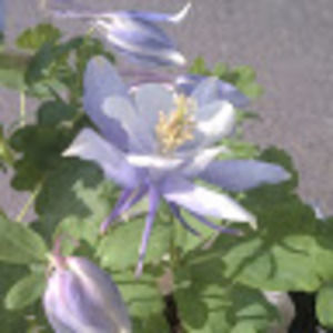 Meet your Posher, Katy